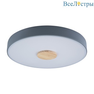 Потолочный светодиодный светильник Loft IT Axel 10003/24 grey