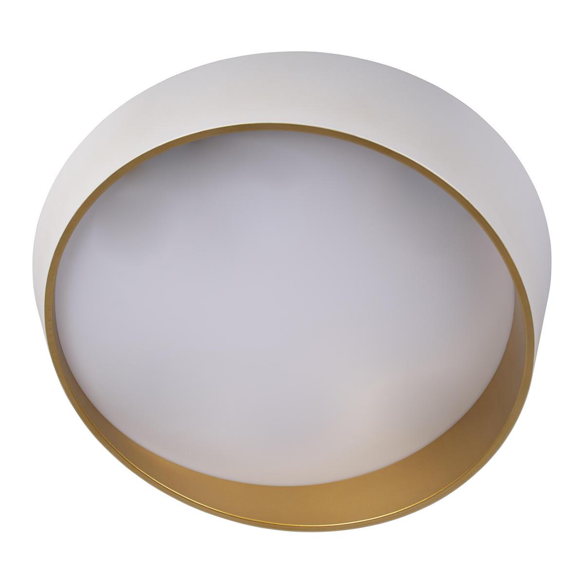 потолочный светодиодный светильник loft it coin 10199 white
