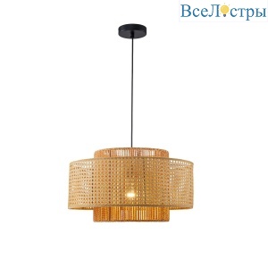 Подвесной светильник Favourite Organicum 4769-1P