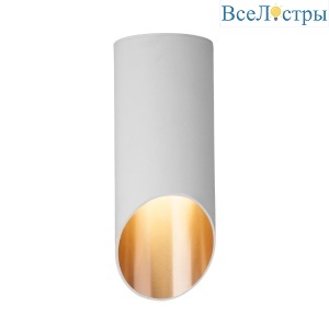Потолочный светильник Elektrostandard DLN114 GU10 белый/золото 4690389151163