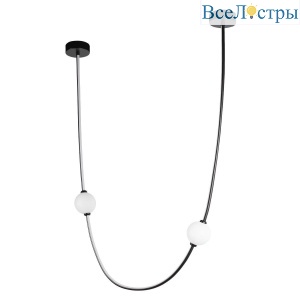 Подвесной светодиодный светильник Loft IT Embrace 10242/800 Black