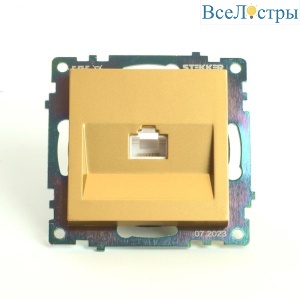 Розетка компьютерная RJ-45 Stekker Катрин золото GLS00-7107-08 49227