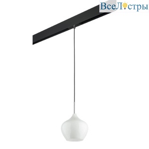 Трековый светильник Lightstar Pentola (803040+595007) PRO803040