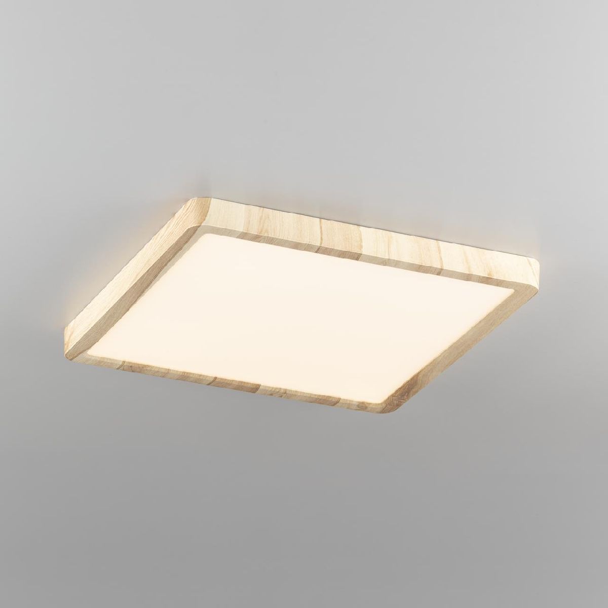 потолочный светильник citilux бейсик cl738k242v