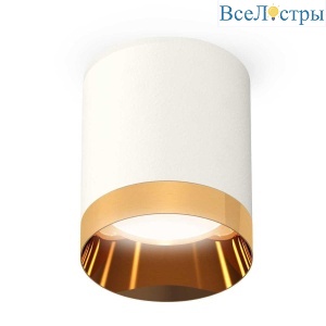 Комплект потолочного светильника Ambrella light Techno Spot XC (C6301, N6134) XS6301024