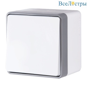 Выключатель одноклавишный влагозащищенный Werkel Gallant 4690389163920 W5010201