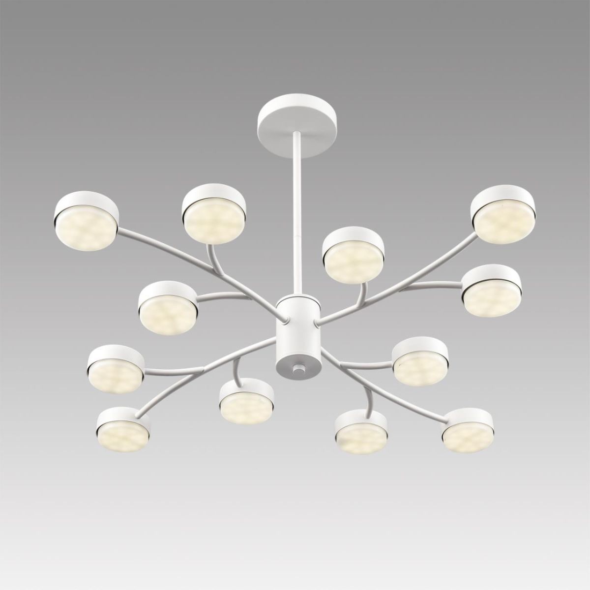 люстра на штанге lumion comfi torina 8265/12
