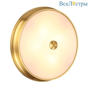 Накладной светильник Odeon Light Marsei 4824/4C