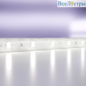 Светодиодная лента Maytoni Led Strip 24В 2835 7,2Вт/м 6000K 5м IP65 20018