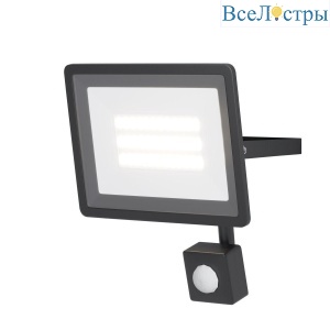 Прожектор светодиодный Maytoni Flood 30W 6500K FL001-L30B6KSR