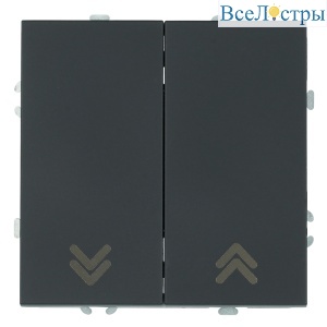 Выключатель двухклавишный Stekker Эмили RSW10-5116-05 черный уголь soft touch 50824
