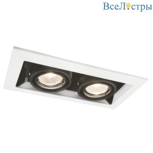 Встраиваемый светильник Arte Lamp Cardani Piccolo A5931PL-2WH