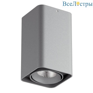 Накладной светильник Lightstar Monocco 52139