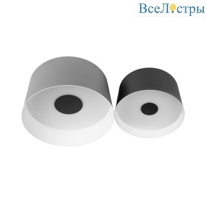 Потолочный светодиодный светильник Loft IT Duo 10360/2