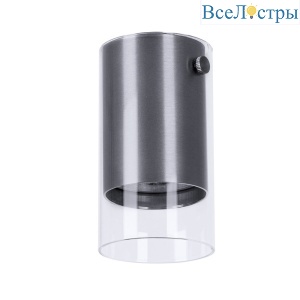 Накладной светильник Arte Lamp Lazio A5365PL-1SS