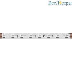 Светодиодная лента Maytoni Led Strip 24В 3838 8Вт/м RGBW 5м IP20 201130