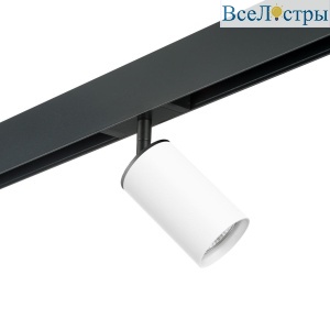Трековый светильник Lightstar Rullo (214436+595057) PRO436