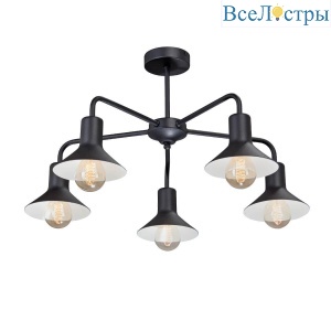 Потолочная люстра Vitaluce V4805-1/5PL