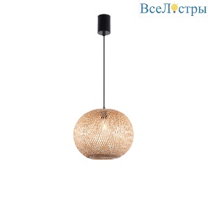 Подвесной светильник Favourite Paleas 4271-1P