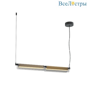 Подвесной светильник Maytoni Flat MOD296PL-L20BS3K