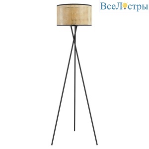 Торшер Lussole Lgo TRUXTON LSP-0633