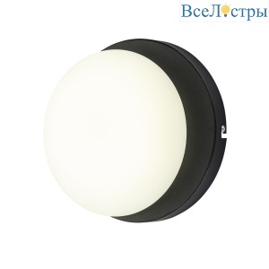 Настенный светильник Escada Meteor 10273/1LED Black