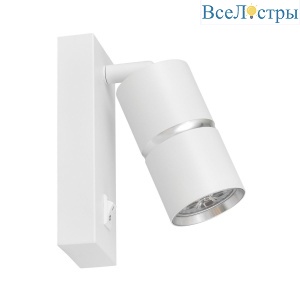Спот Lampit Asti TS TK40-W1 WT+CHR