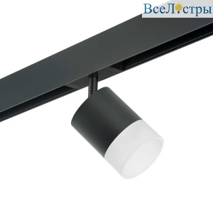 Трековый светильник Lightstar Rullo (213487+595087+202481) PRO348781