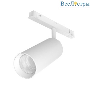 Трековый светодиодный светильник Maytoni Technical Focus LED TR032-2-20W3K-S-W