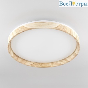 Потолочный светильник Citilux Enzo CL753452G