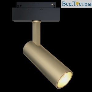 Трековый светильник Maytoni Focus LED  TR019-2-10W4K-MG