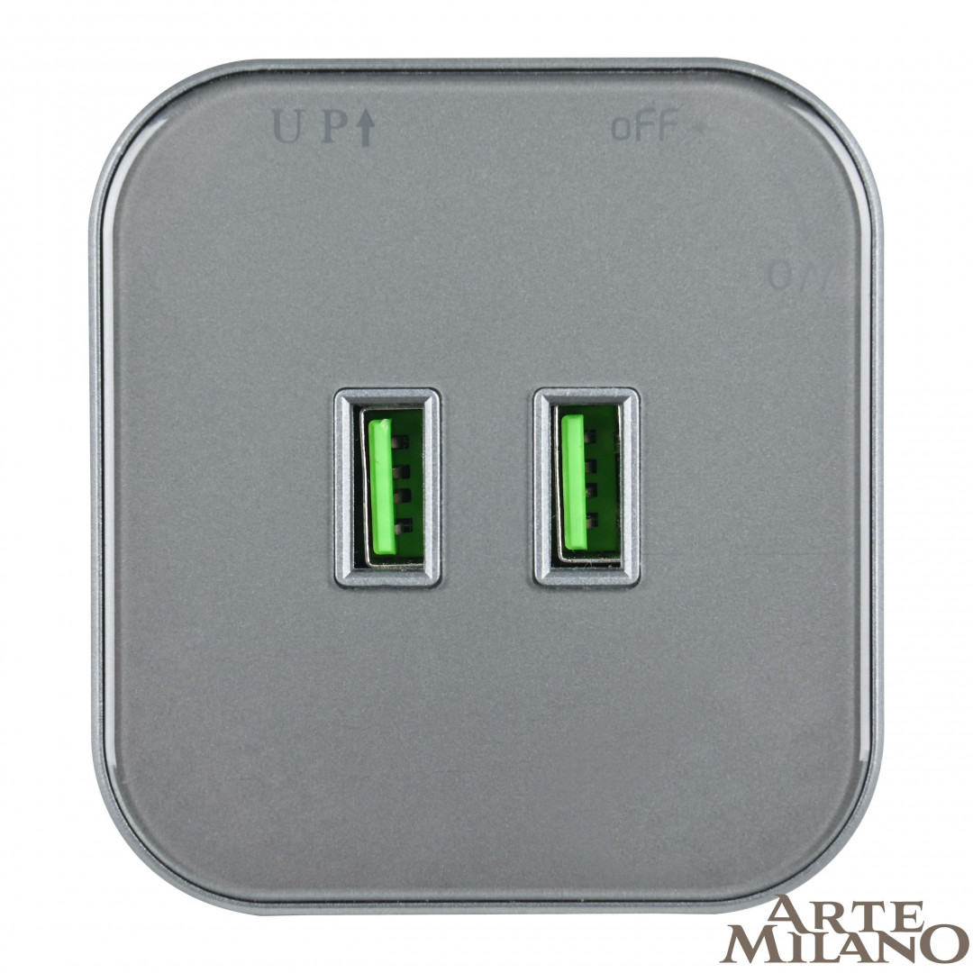трековая розетка arte milano am-track-sockets 380022ts/usbx2 grey