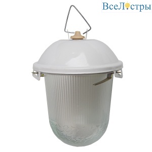 Подвесной светильник General НСП 02-100-001.01 437821