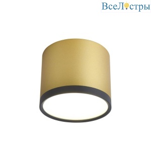 Потолочный светильник Favourite Baral 3082-2C