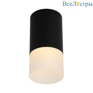 Накладной светильник Omnilux Lucido OML-100619-01
