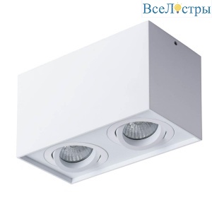 Потолочный светильник Arte Lamp Factor A5544PL-2WH