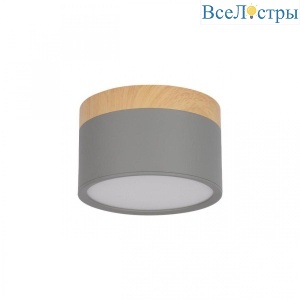 Накладной светодиодный светильник Loft IT Grape 10162 Grey