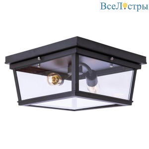 Потолочный светильник LOFT IT Modern filament Loft3110-2C