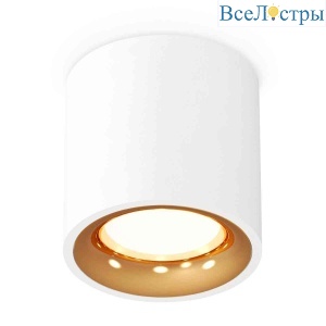 Комплект накладного светильника Ambrella light Techno Spot XS7531024 SWH/PYG белый песок/золото желтое полированное (C7531, N7014)
