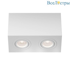 Потолочный светильник Maytoni Technical Atom C017CL-02W