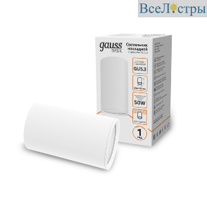 Накладной светильник Gauss Basic HD062