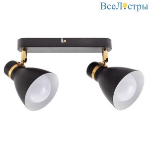 Спот Arte Lamp Fafnir A5047PL-2BK