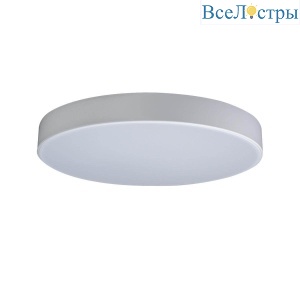 Потолочный светодиодный светильник Loft IT Axel 10002/24 white