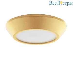 Потолочный светодиодный светильник Lightstar Urbano mini 214734