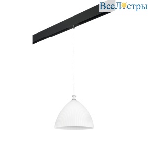 Трековый светильник Lightstar Agola PRO810030 (810030+595007)