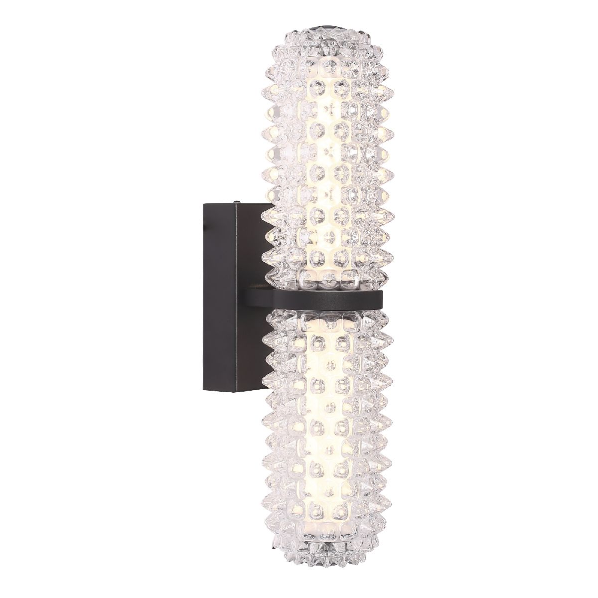 настенный светильник st luce saguaro sl6144.401.01