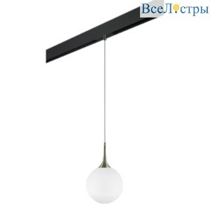 Трековый светильник Lightstar Globo (813031+595007) PRO813031