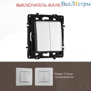 Выключатель жалюзи Arte Milano 217.38-2.silver