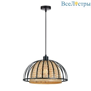 Подвесной светильник Arte Lamp Woodstock A7071SP-1BK