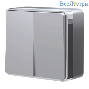 Выключатель двухклавишный Werkel Gallant серебряный W5020006 4690389167102